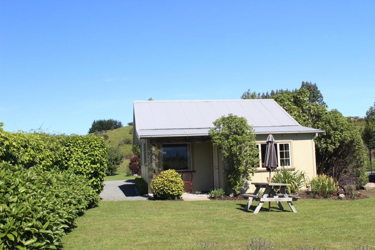 Blue Thistle Cottages Te Anau Ngoại thất bức ảnh