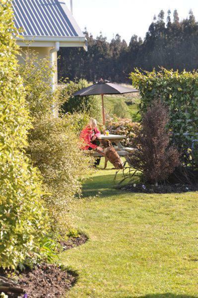 Blue Thistle Cottages Te Anau Ngoại thất bức ảnh